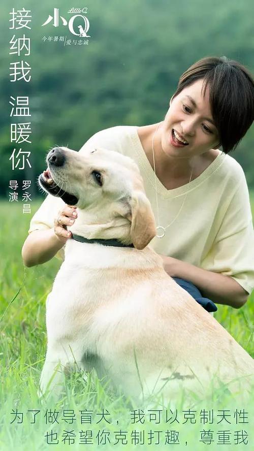 查塔姆大学文凭毕业证怎么购买
